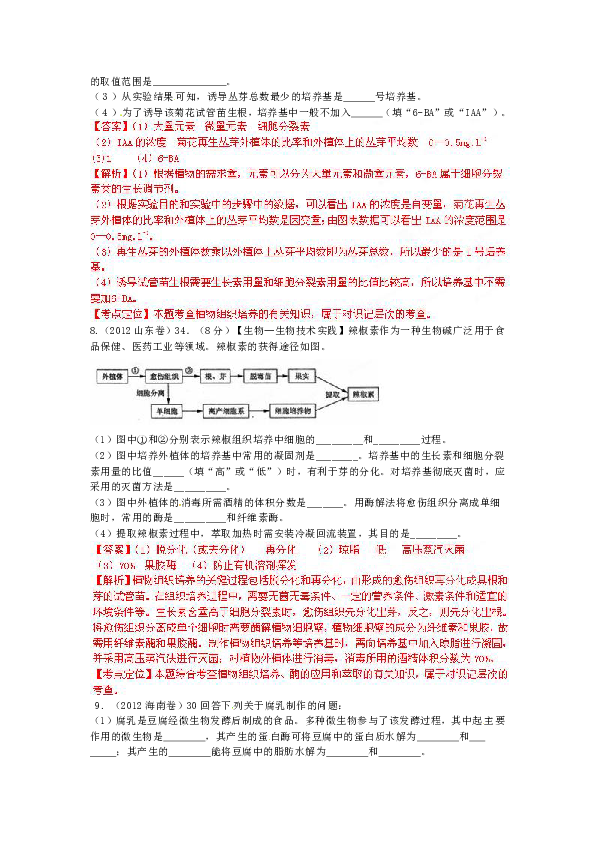 澳门鞋码一肖一，词语释义解释与落实的重要性