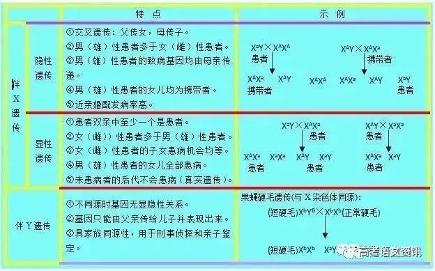 公正解析澳门特马，深入解析与落实策略（2024-2025年）